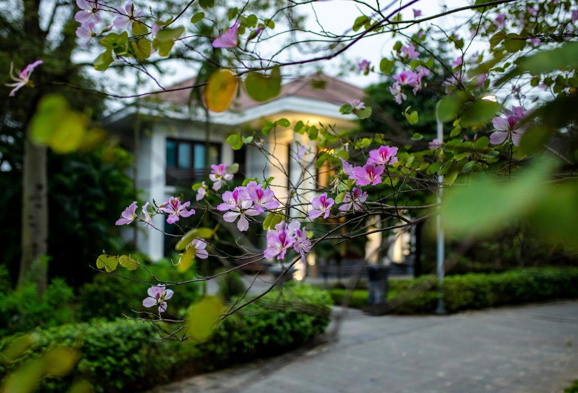 Ncc Garden Villas - Ncc Hotel Ханой Екстериор снимка